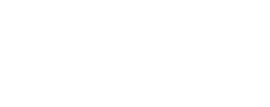 Grey Wolf 3PL logo